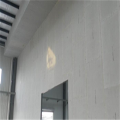 泌阳宁波ALC板|EPS加气板隔墙与混凝土整浇联接的实验研讨